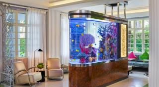 fish tank near window with yellow tropical fish colourful coral and marble stand surrounded by chairs and a couch